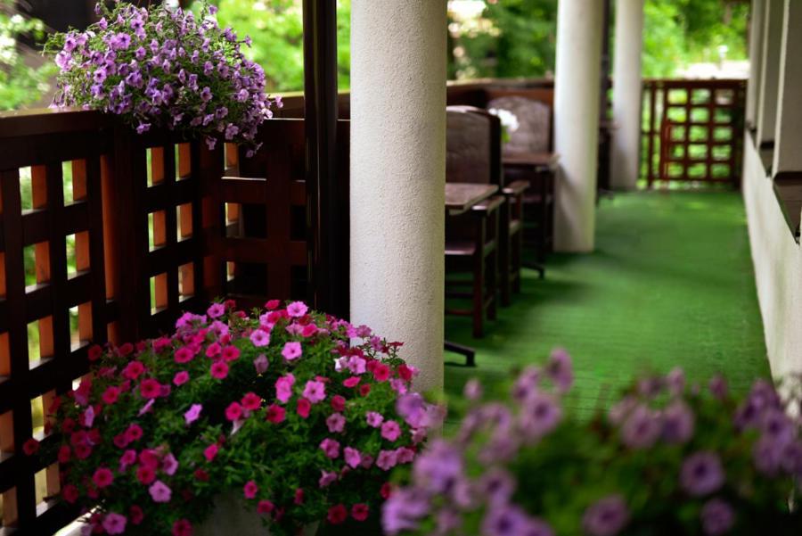 Hotel Promyk Wellness & Spa Карпач Екстериор снимка